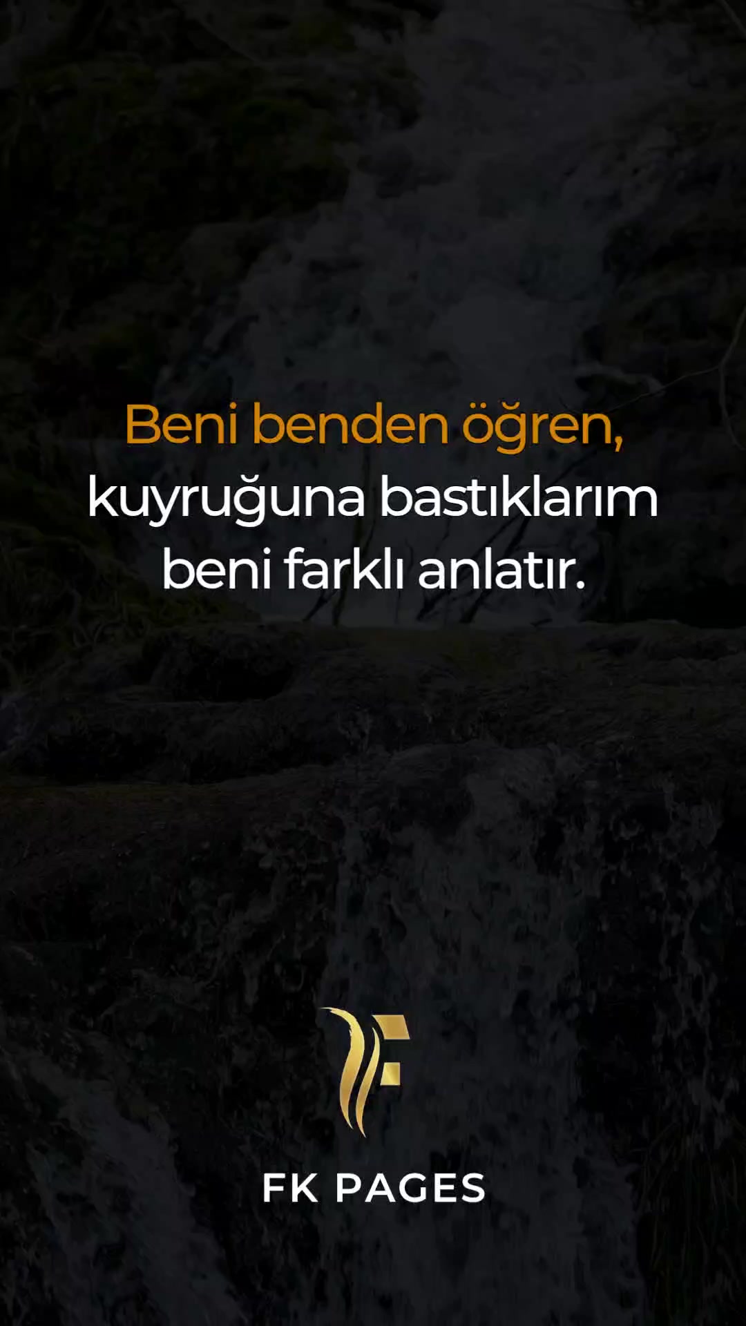 @serap sln