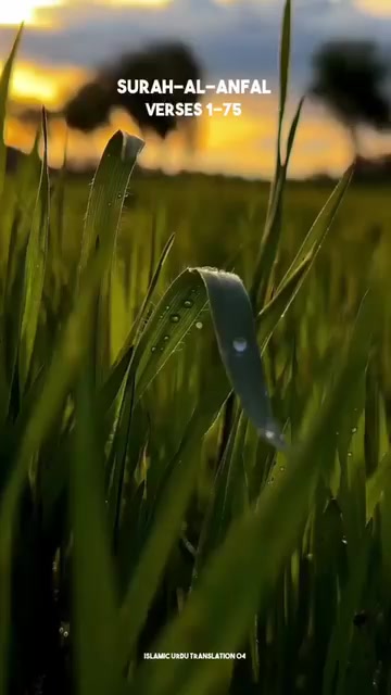 @Skilful Archers