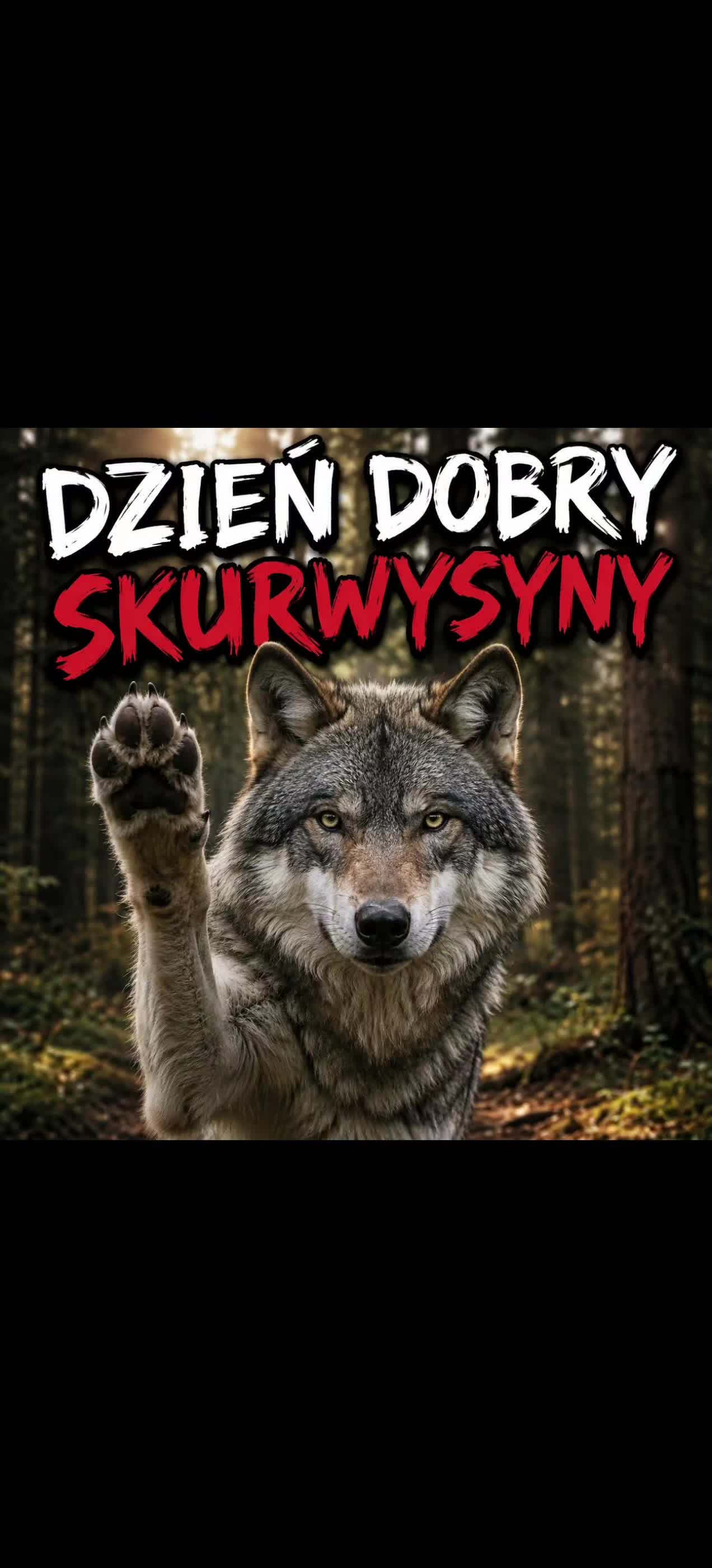 @Samotny Wilk 🐺🐦🔥♈