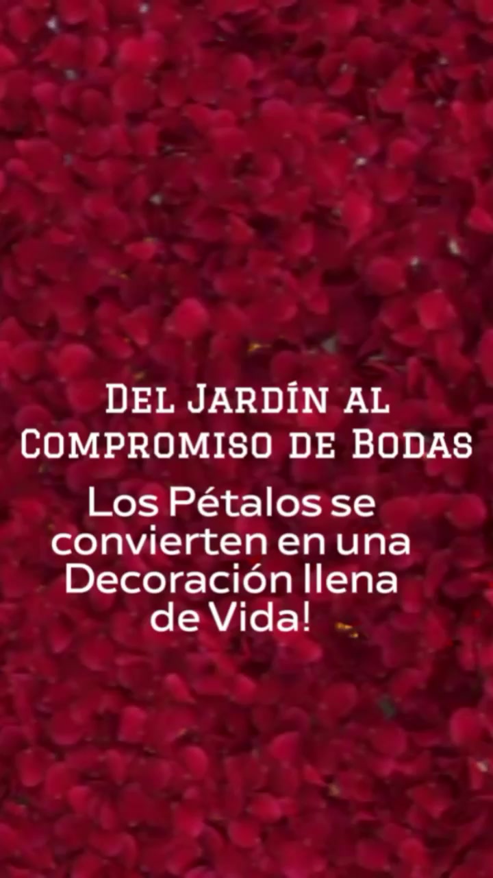 @Yeliantonia