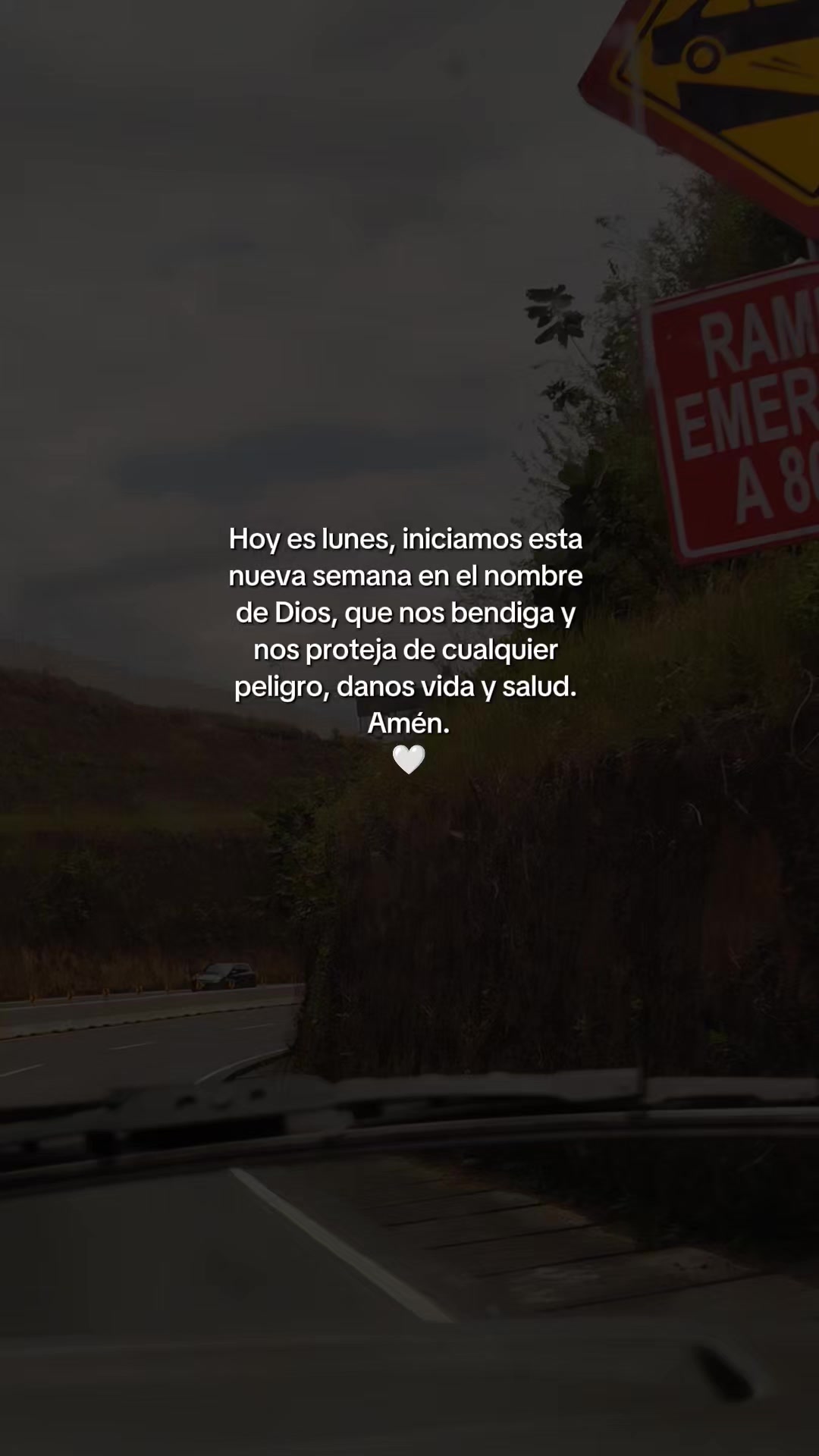 @Linda Cardona 🪼🪐