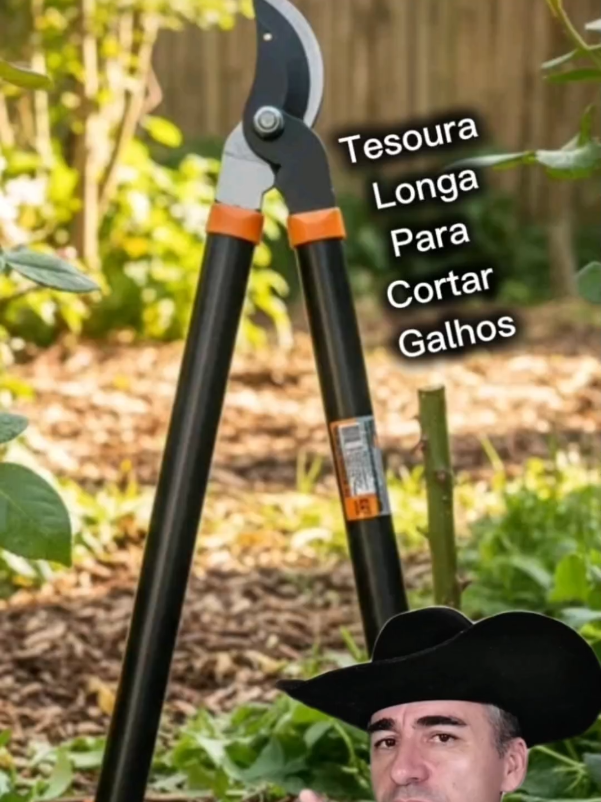 @Freitas • Recomenda