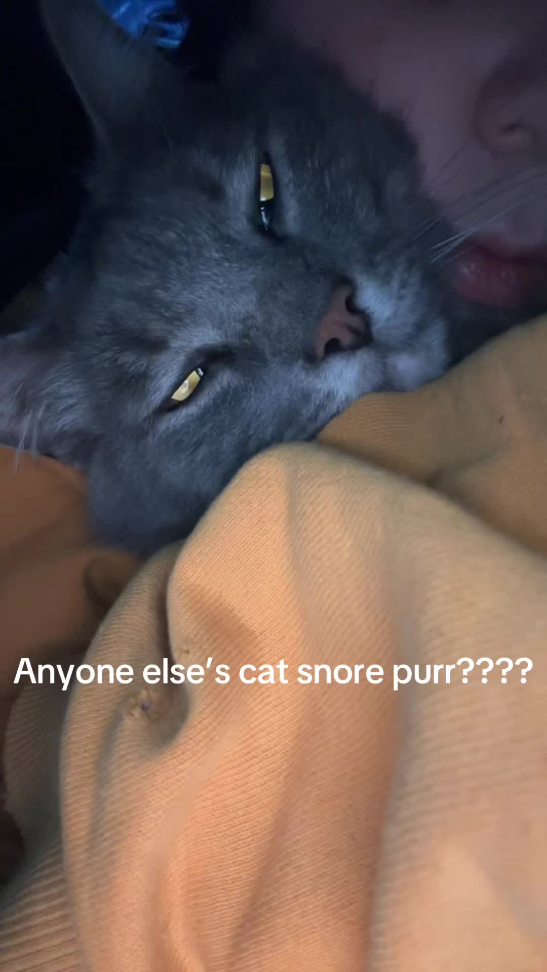 @squirrell93