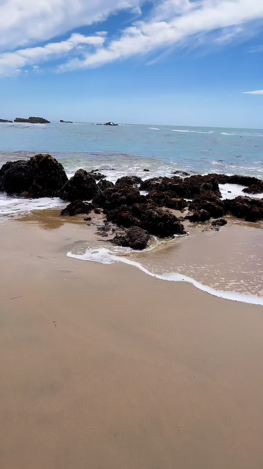 @santoscoronado415