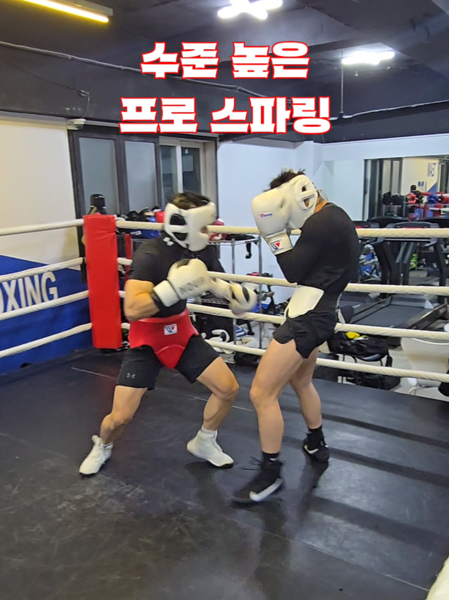 @LLBX 롱롱복싱