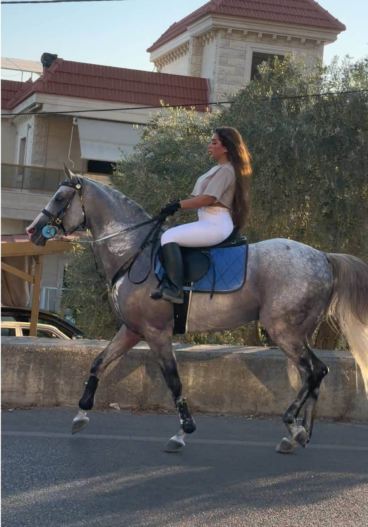 @لــيــن🐎
