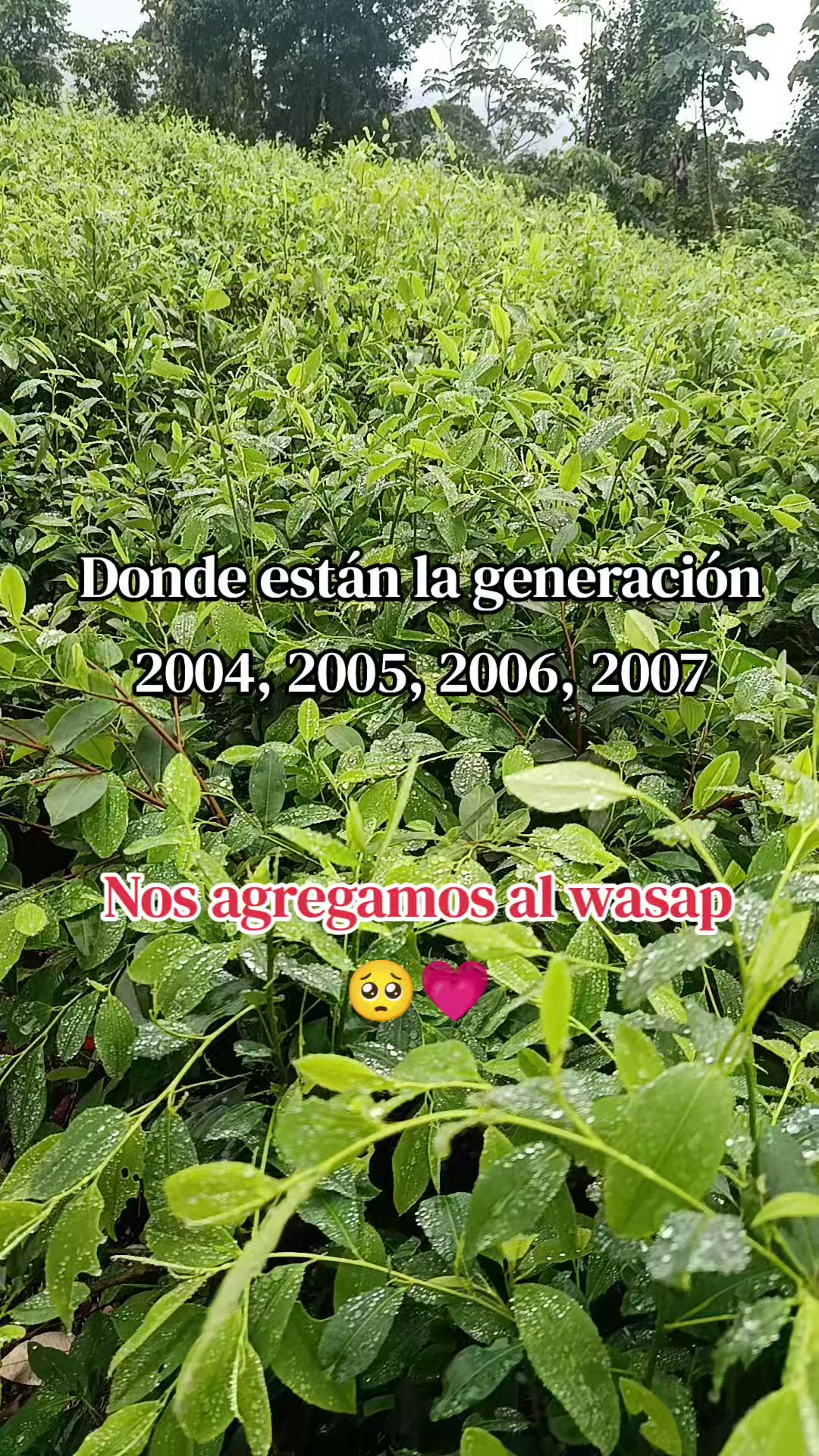 @POETA _JG❤️🩹