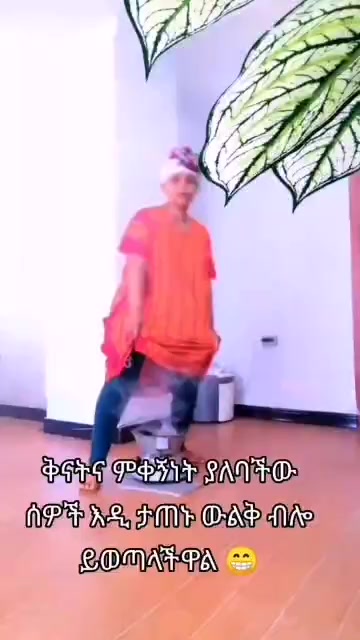 @አዲስዋ ልቤ ልብ ውልቅ ሀበሻና ሹፎን