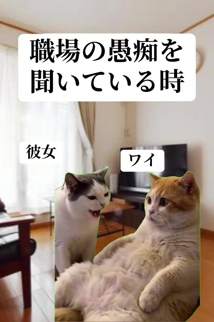 @面白ミーム