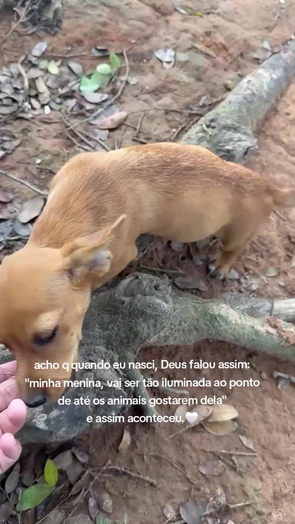 @alvess❤️