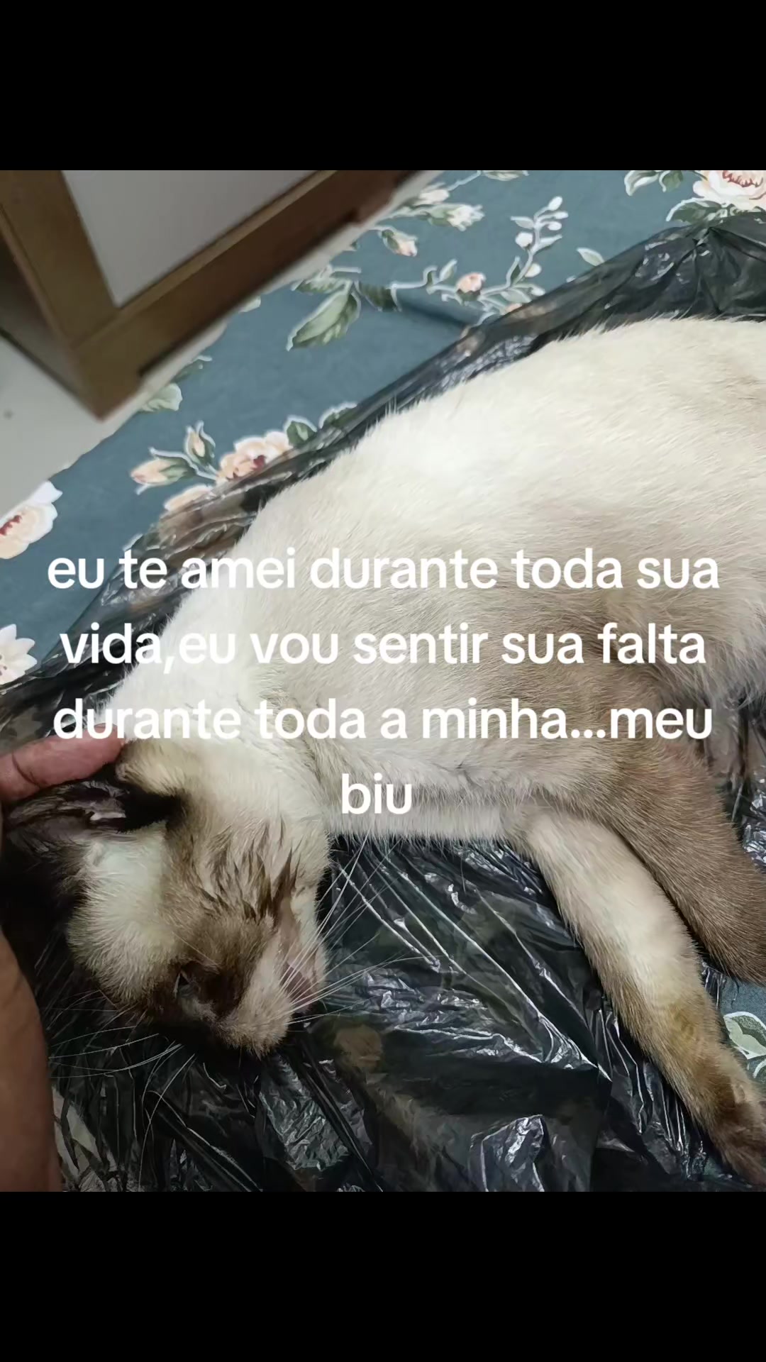 @eu..preta