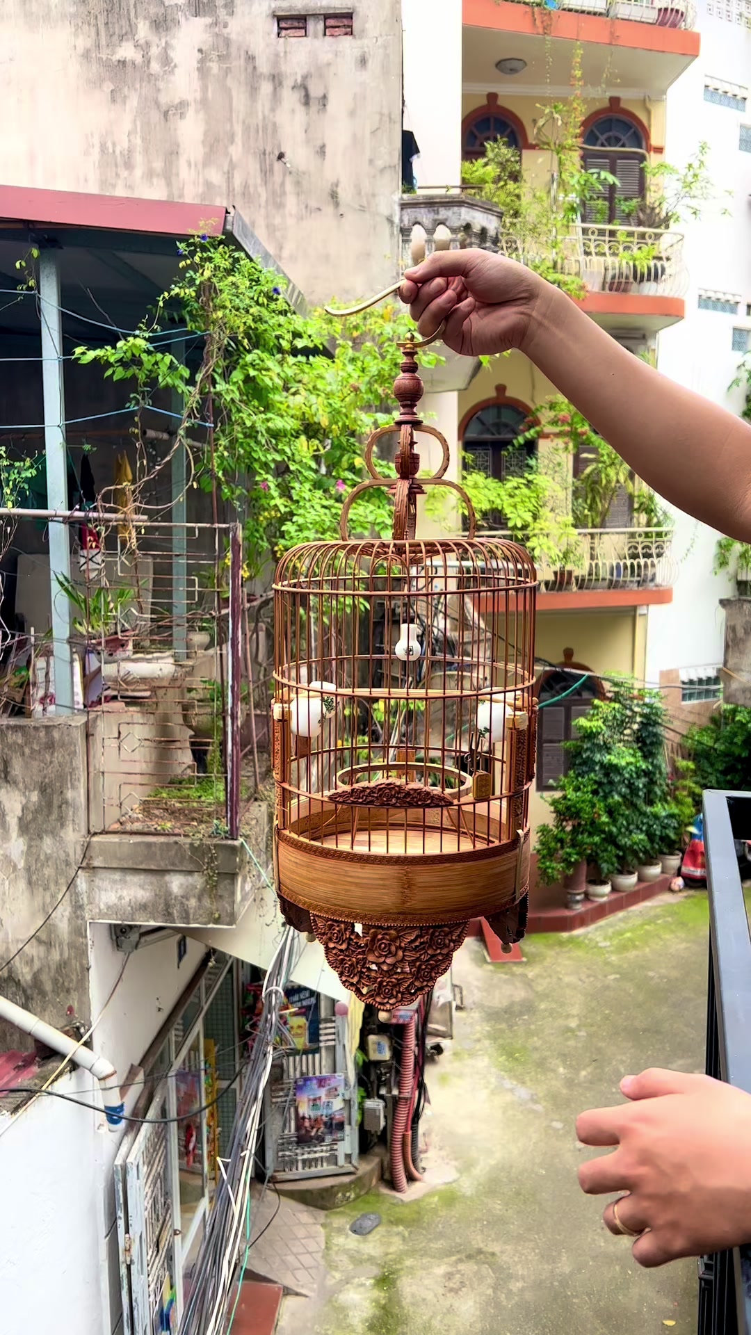 @Lồng Chim Đẹp