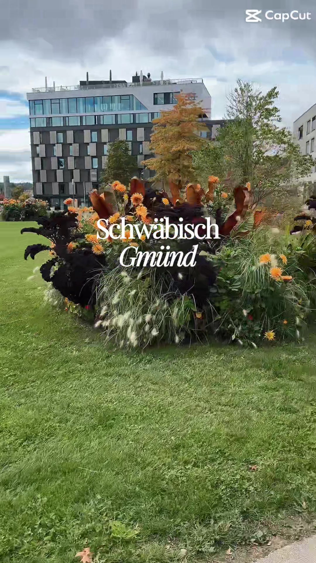 @natali.alemania