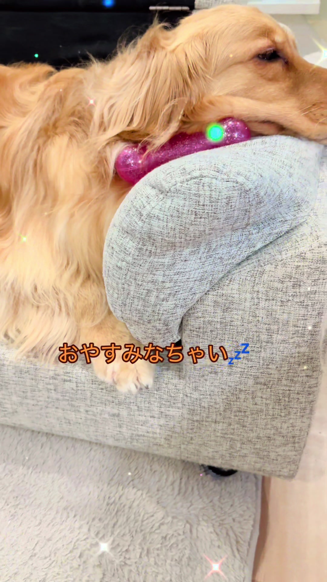@ACIKA🇯🇵🇲🇨MOMO🍑🐶