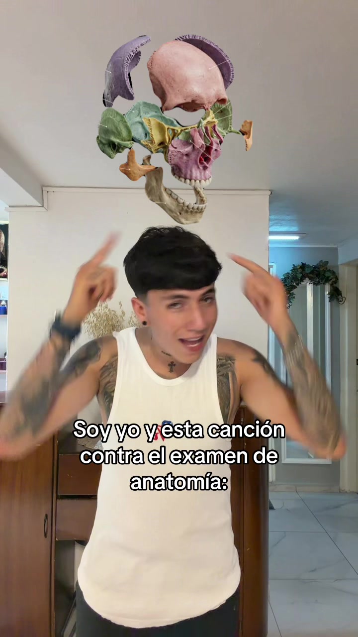 @ENDOBOY