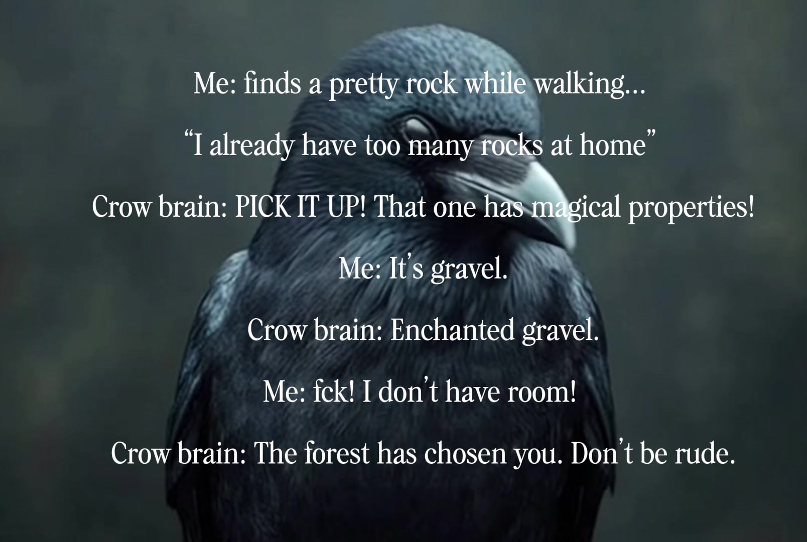 @Jasmin | A Rooted Life