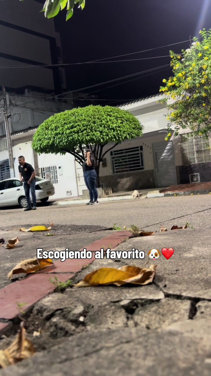 @Lore 💫