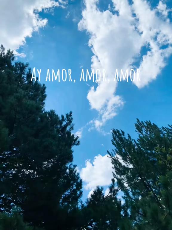 @L A. R O X. 🍓