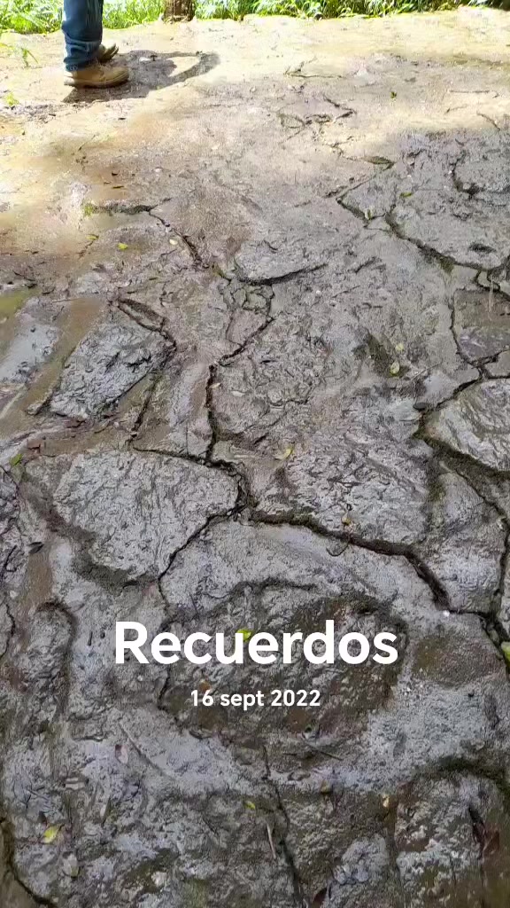 @Angel Peña
