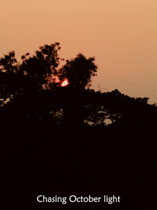 @Ahmed_samit | Chittagong