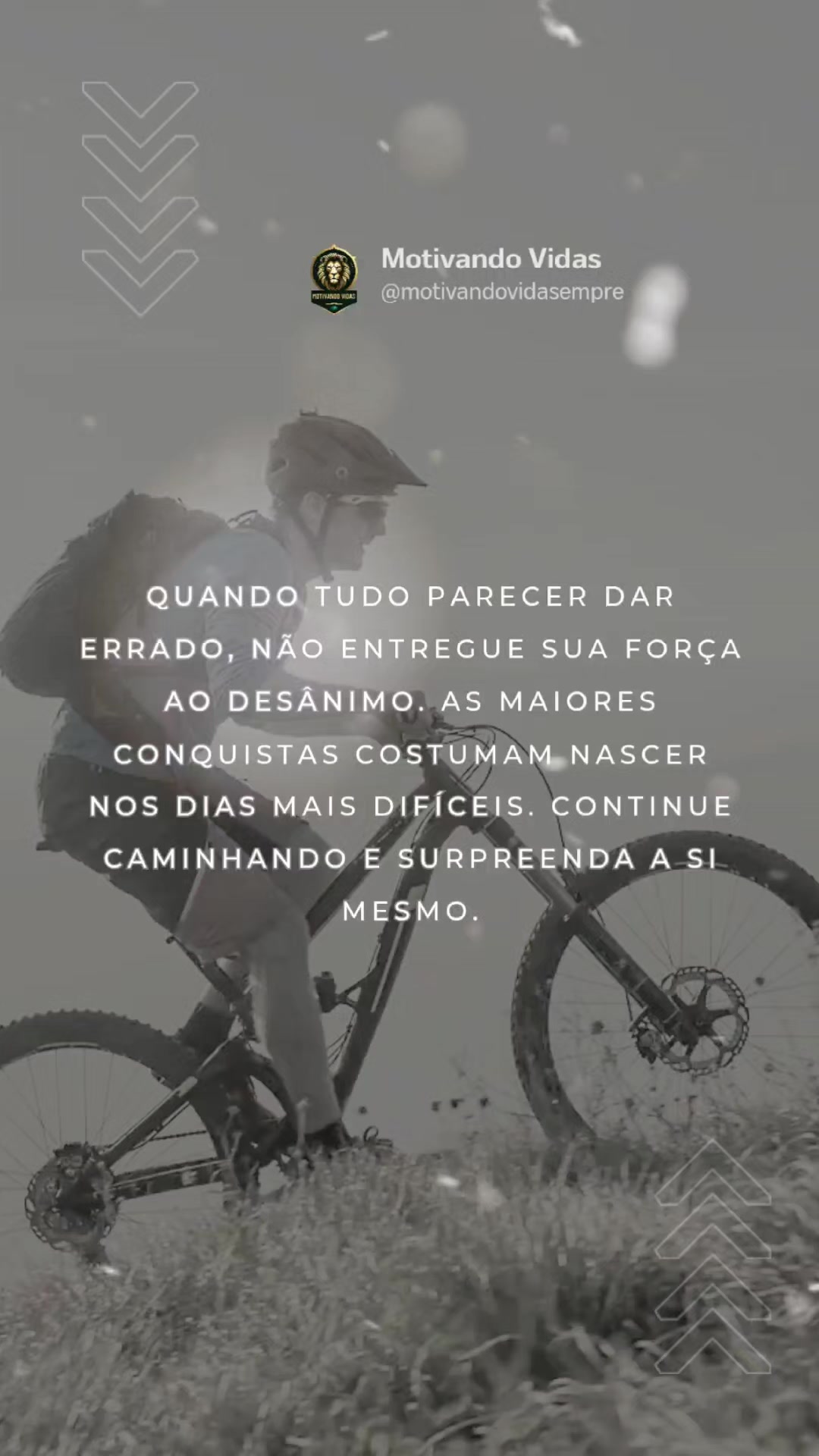 @Motivando Vidas