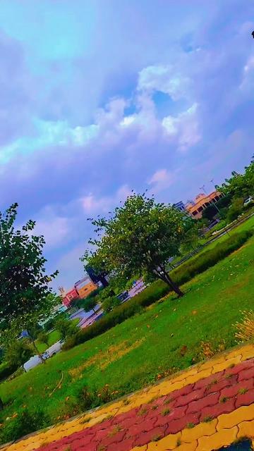 @sajjad