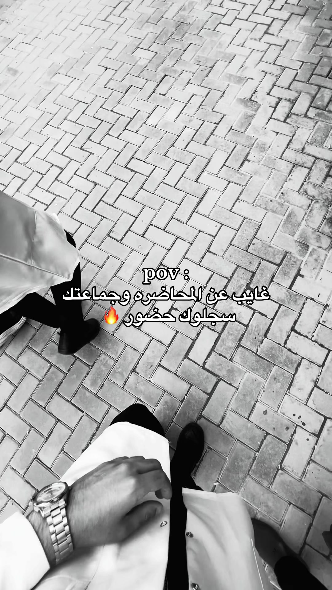 @عَـلي 𓅓