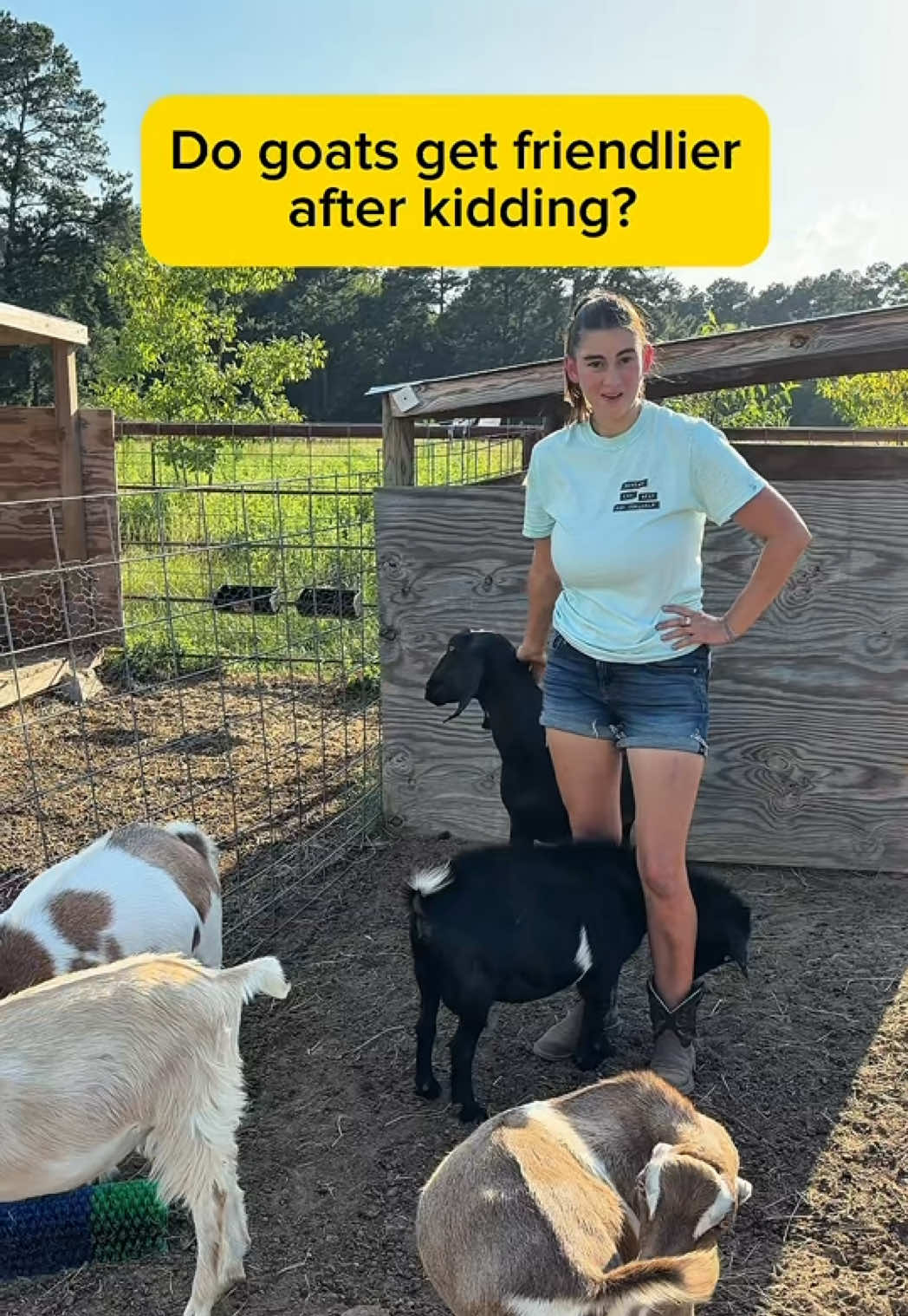 @Heart & Hoof Homestead