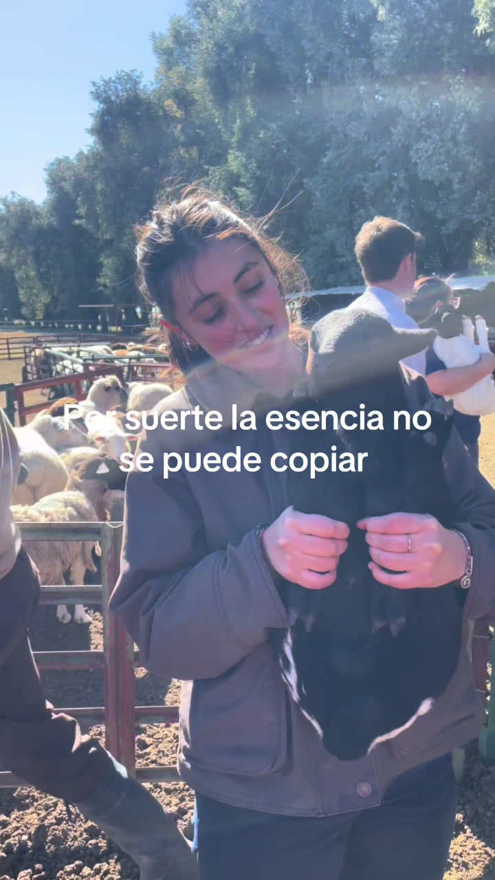 @Leda Alvarez