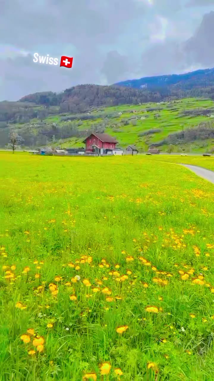 @👑𝐒𝐰𝐢𝐭𝐳𝐞𝐫𝐥𝐚𝐧𝐝🇨🇭⛎