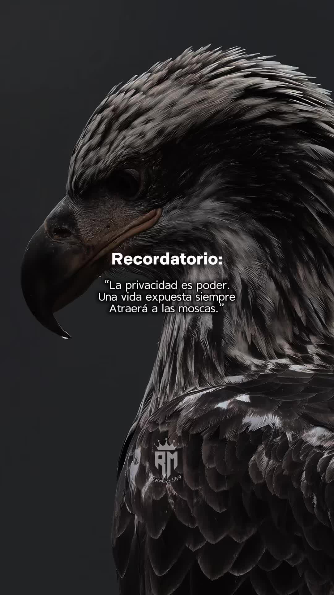 @Rigomacz1999
