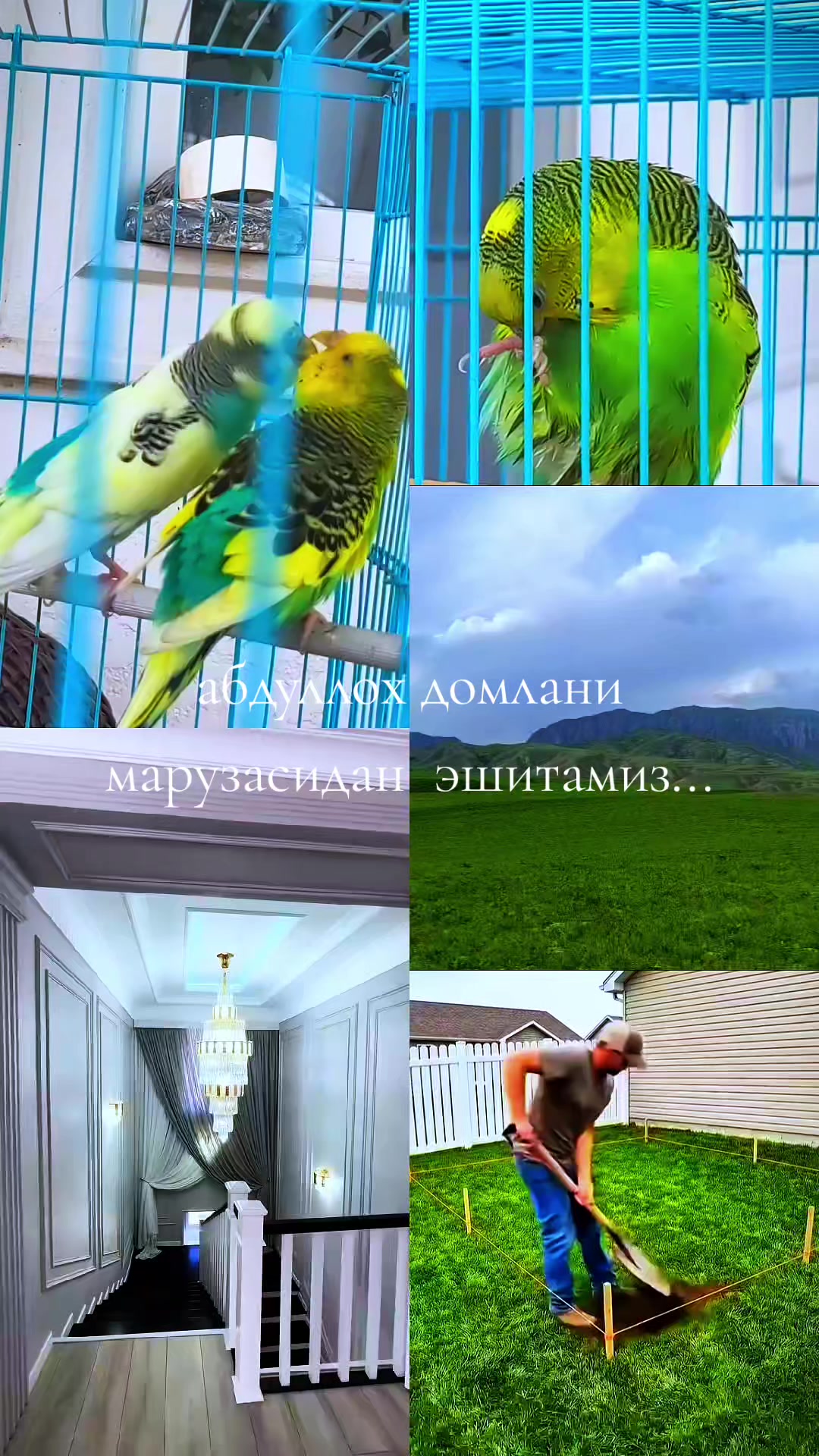 @оллох ягонадур
