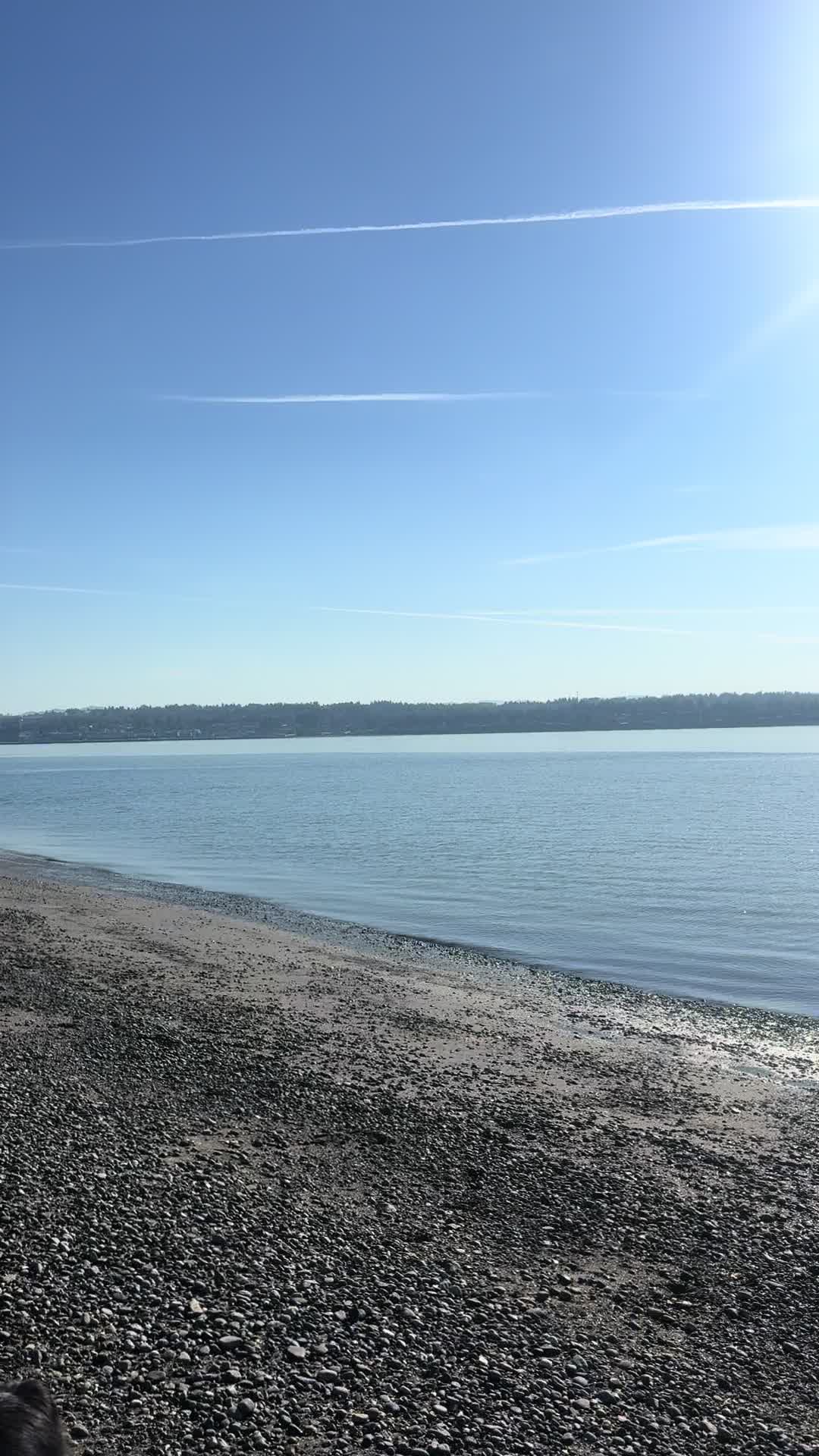@LifeinthePNW