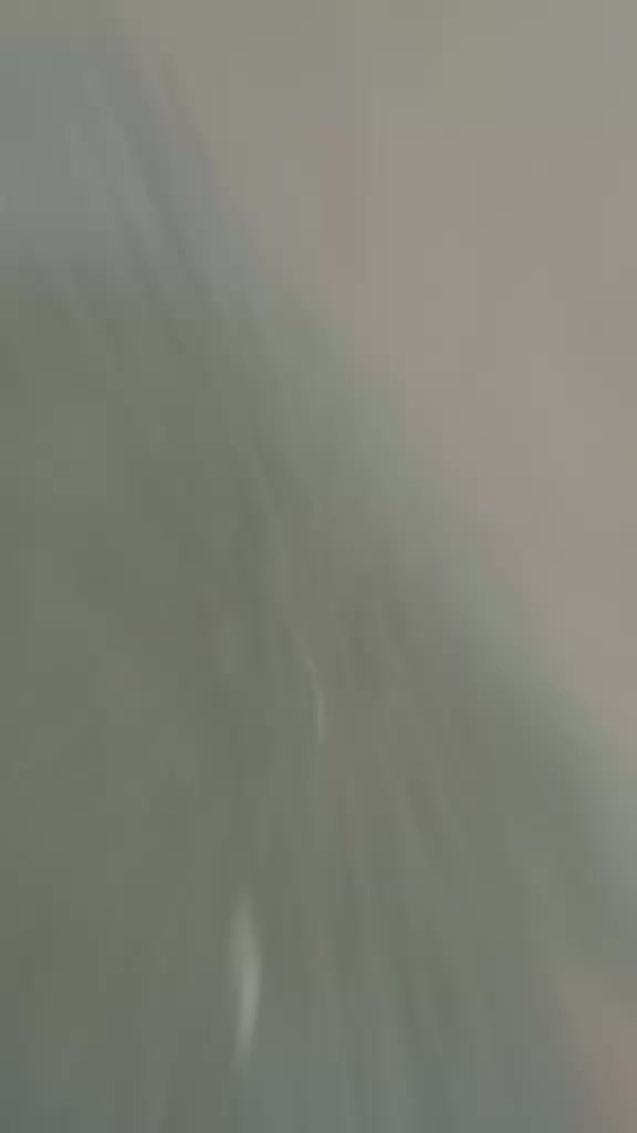 @aryani