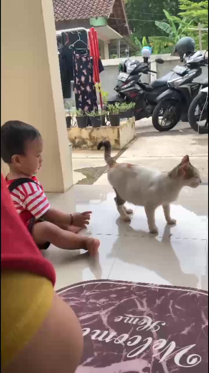 @玛丽亚·克里斯蒂安娜