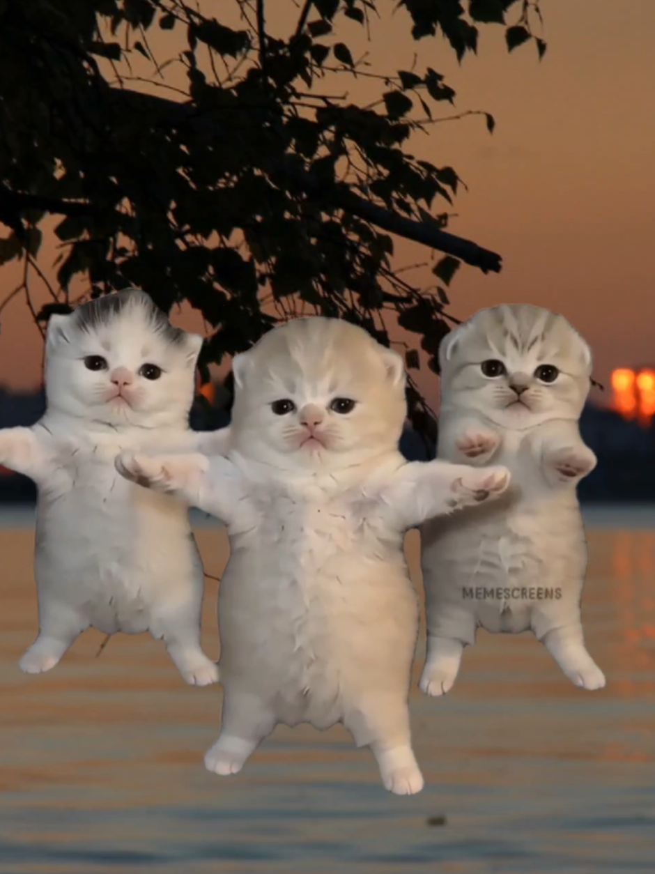 @✨𝓝𝓪𝓼𝓽𝔂𝓪✨@