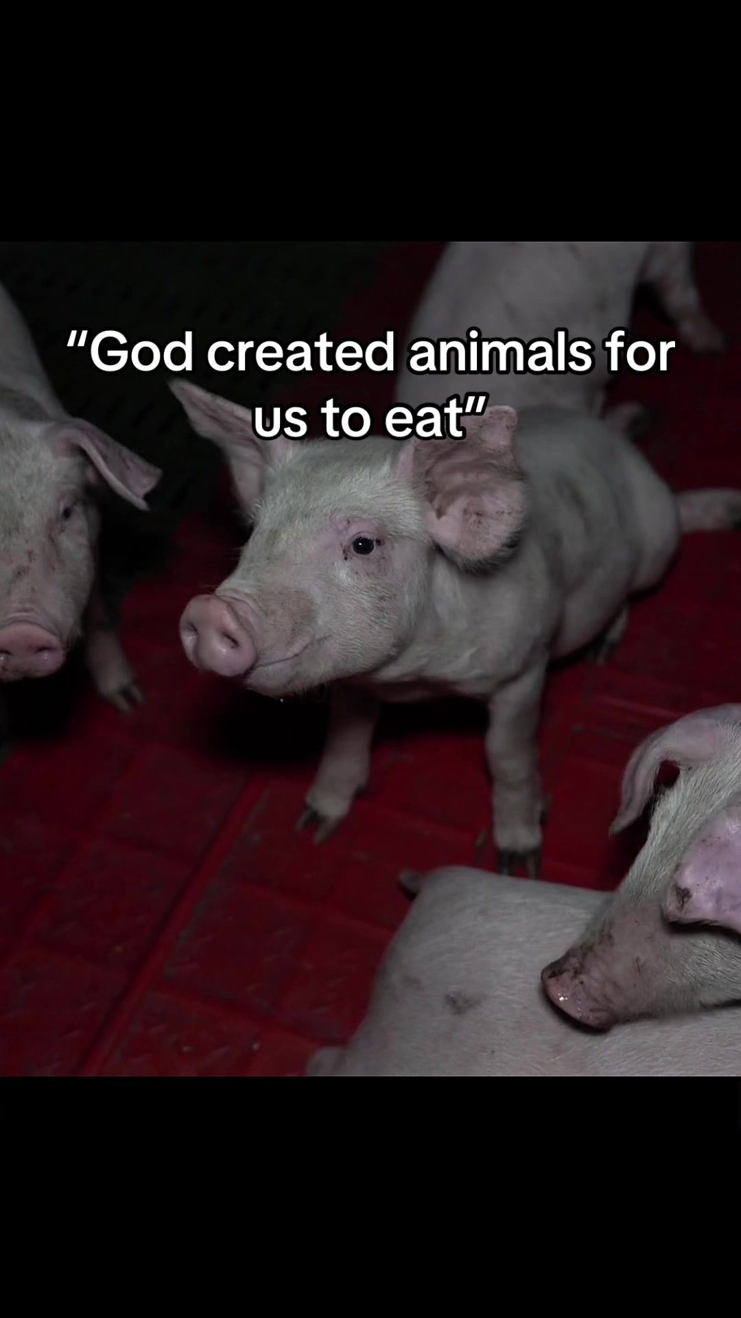 @Meat Sucks
