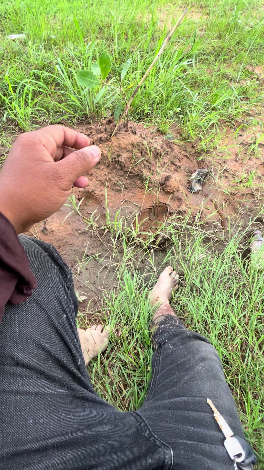 @បង ឡង99529