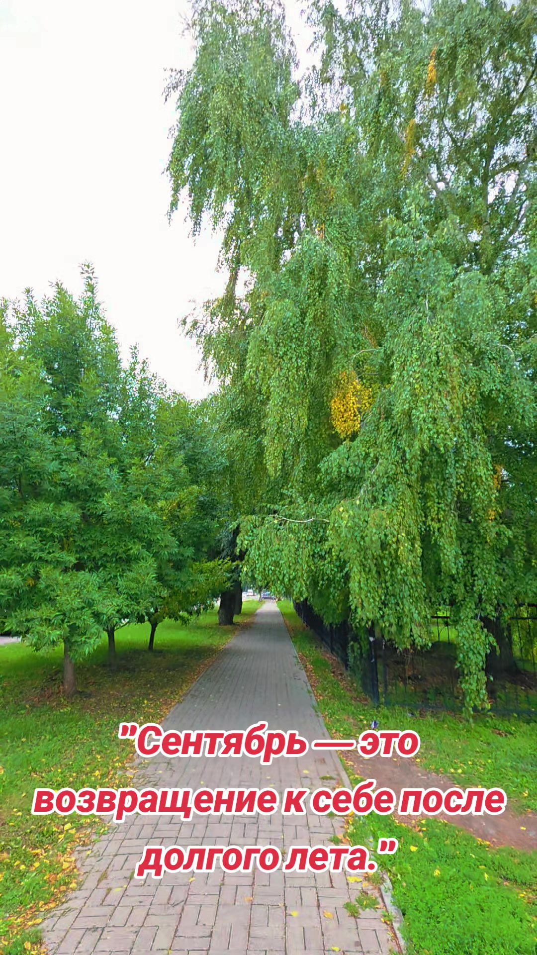 @Яркое Лето