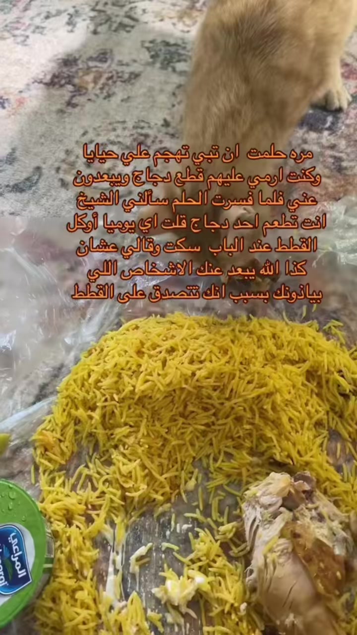 @بندر الهليل