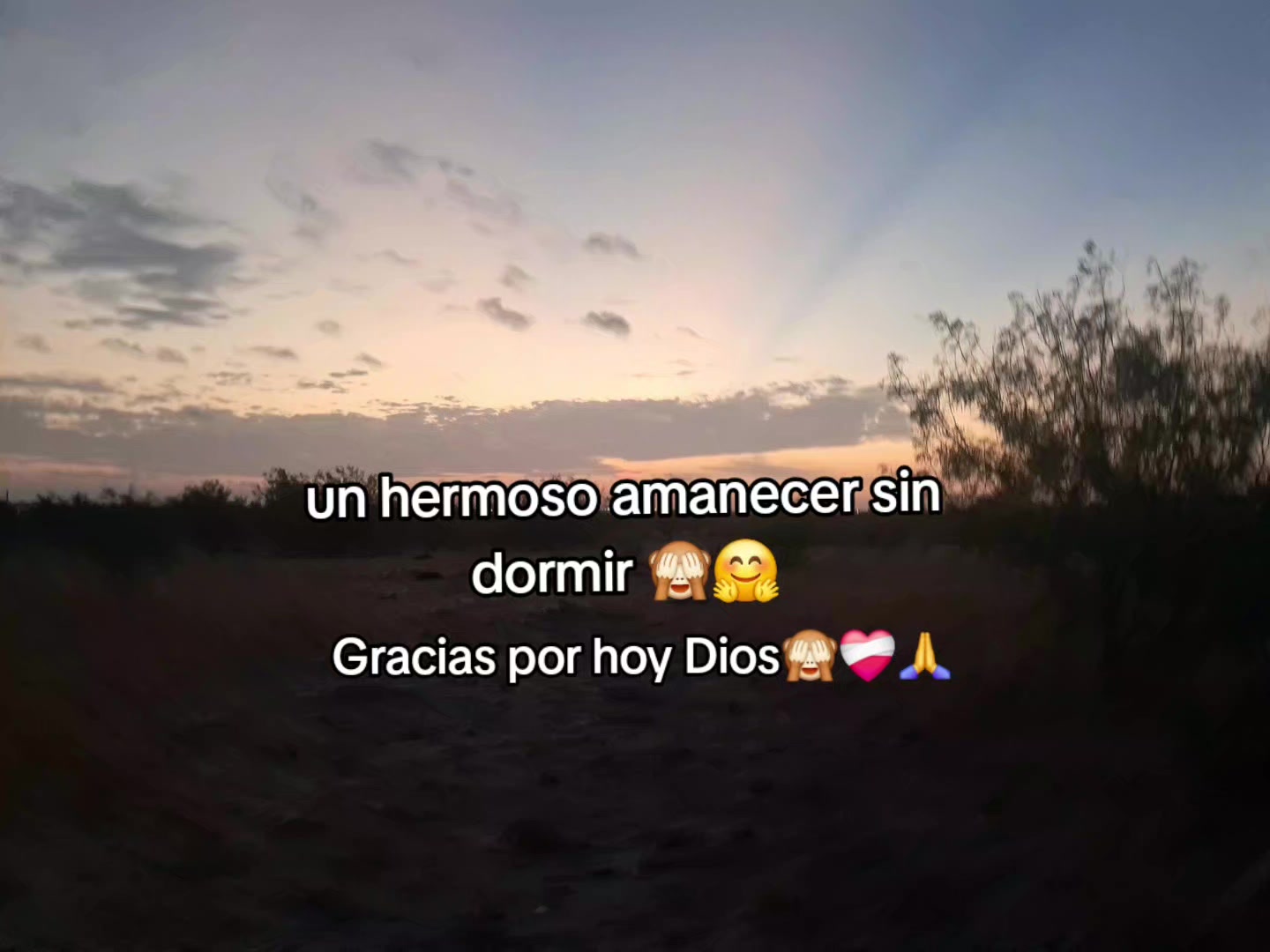 @𝑺r-𝑴arce✪