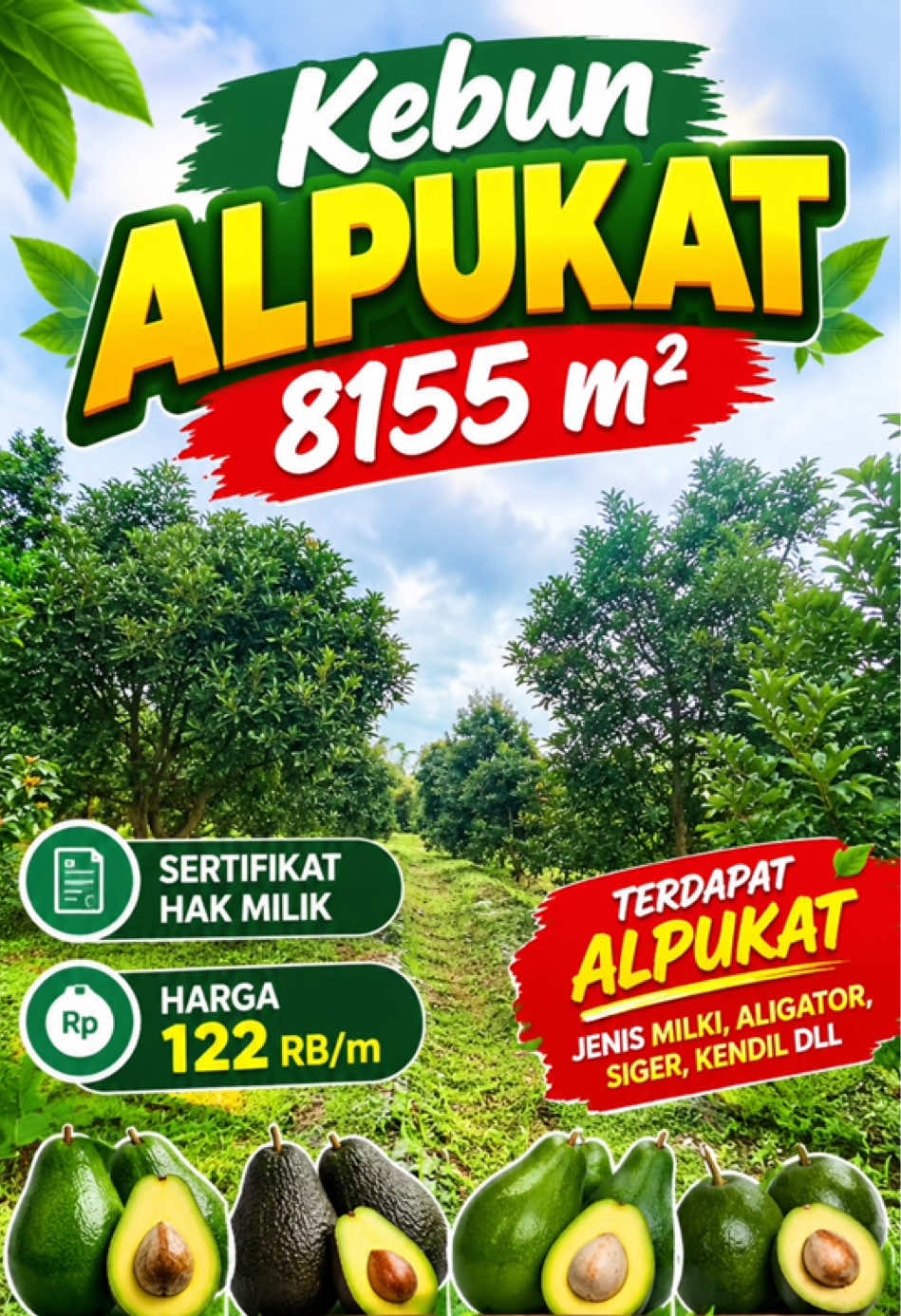 @Sumbar Property