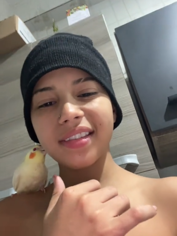 @Os gêmeos