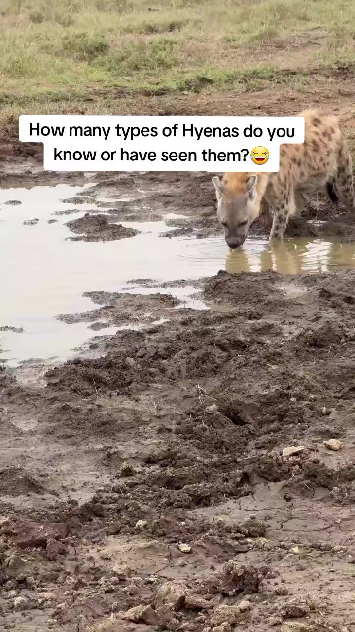 @uniquepreensafaris