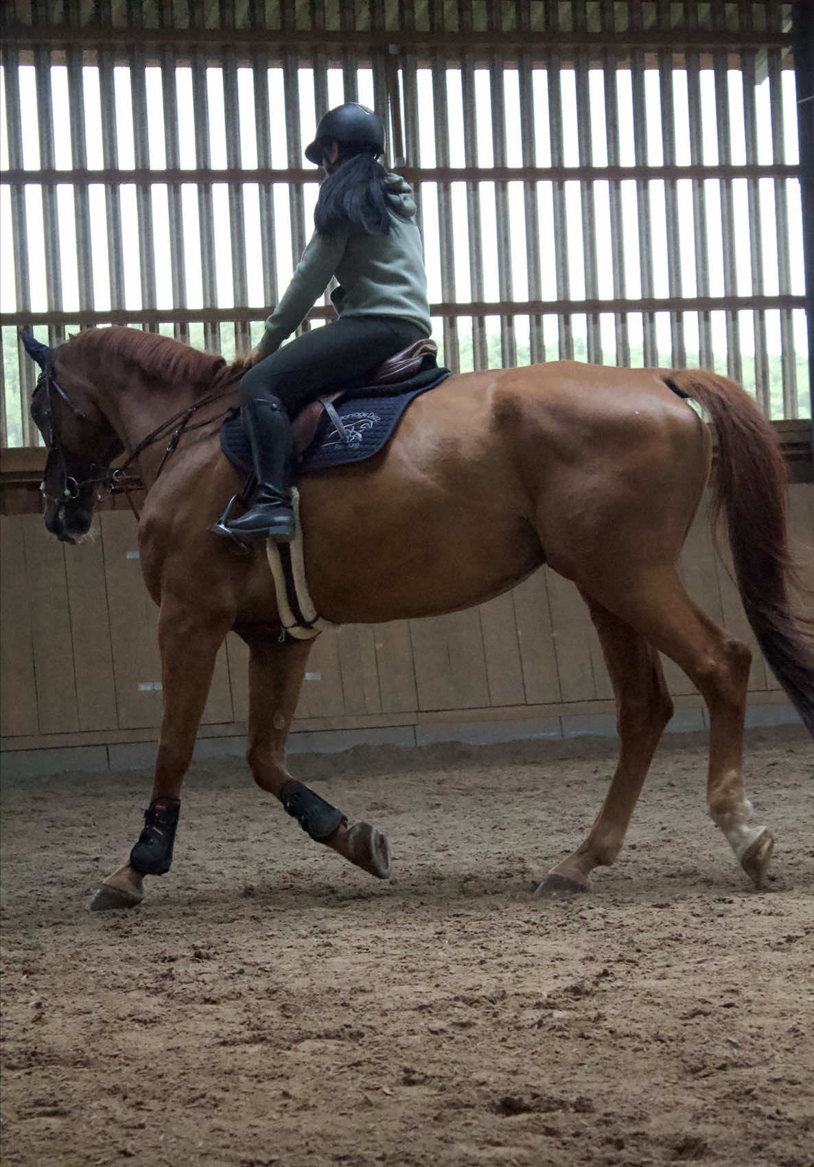 @annalisa.equestrian