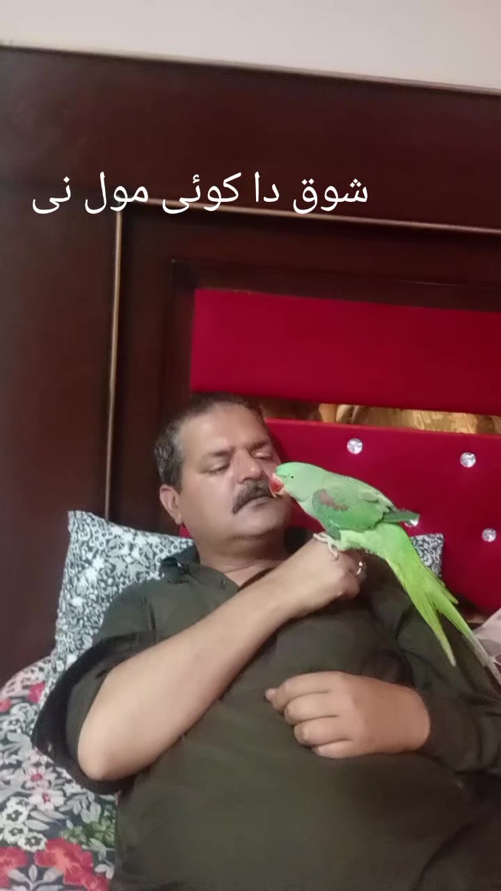 @HAROON SHEIKH✨&hearts;️
