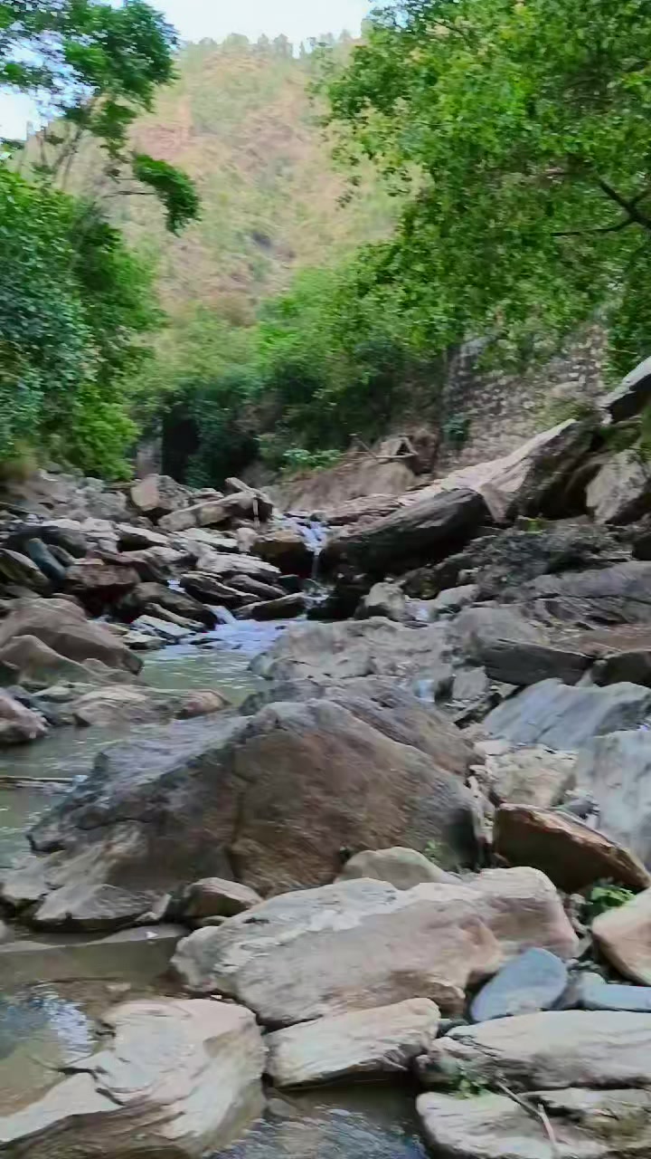 @kaleem jan kh 2651