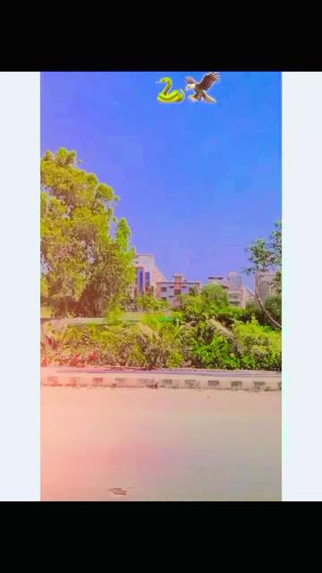 @❣️احسان اللہ مروت ❣️