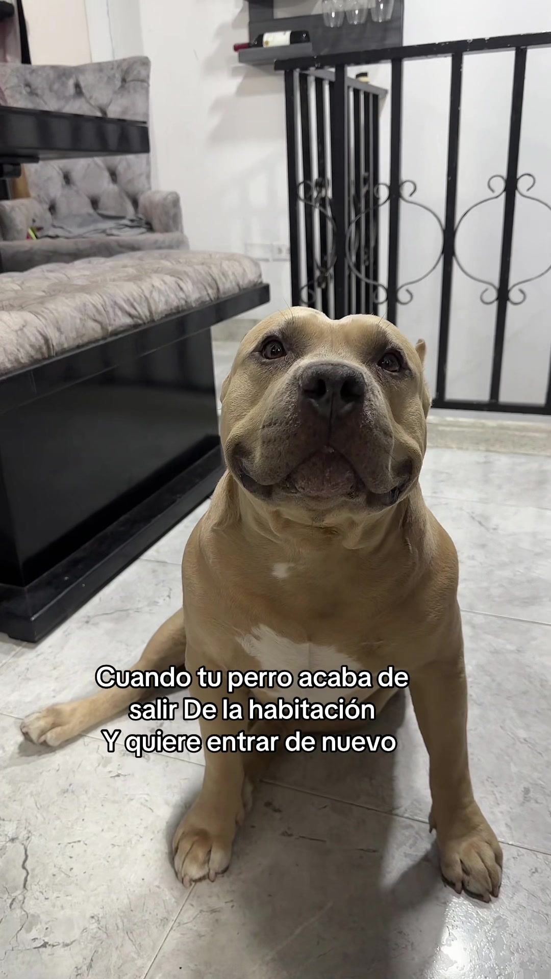 @Vikingo606