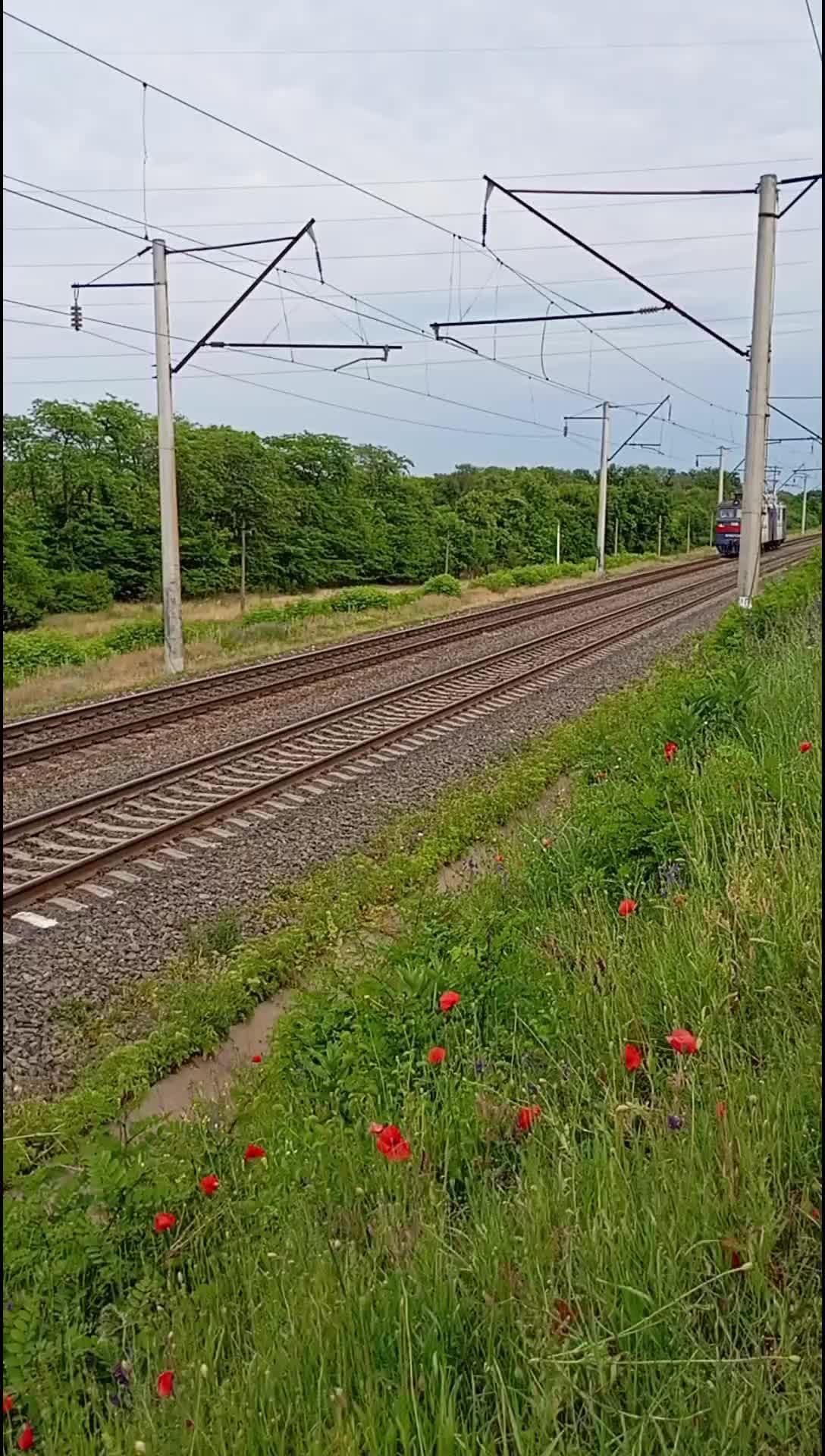 @🚄🇺🇦n_a_z_a_r_c_h_i_k🇺🇦🚈